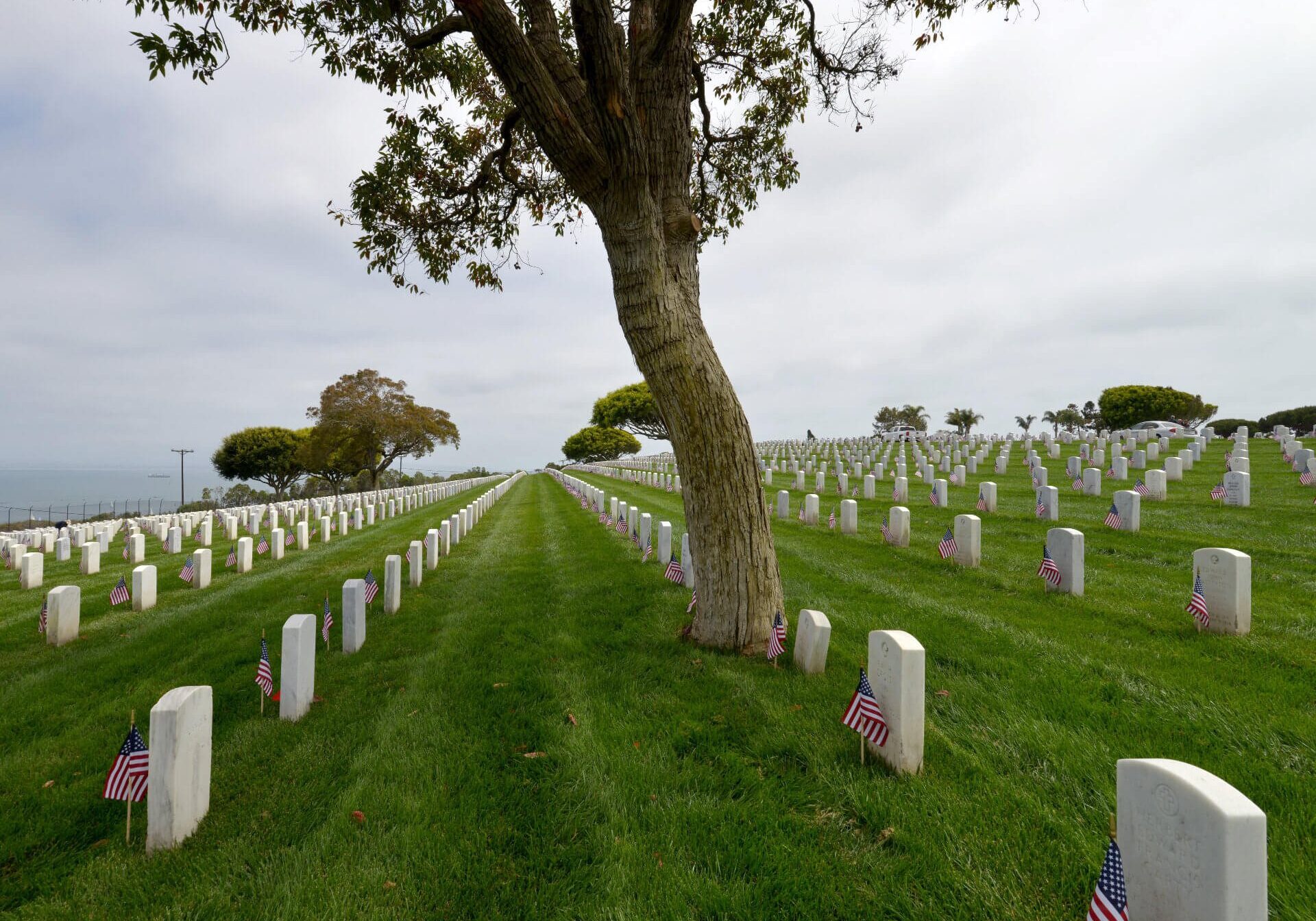 greg-bulla-LL91zbNyiM0-unsplash