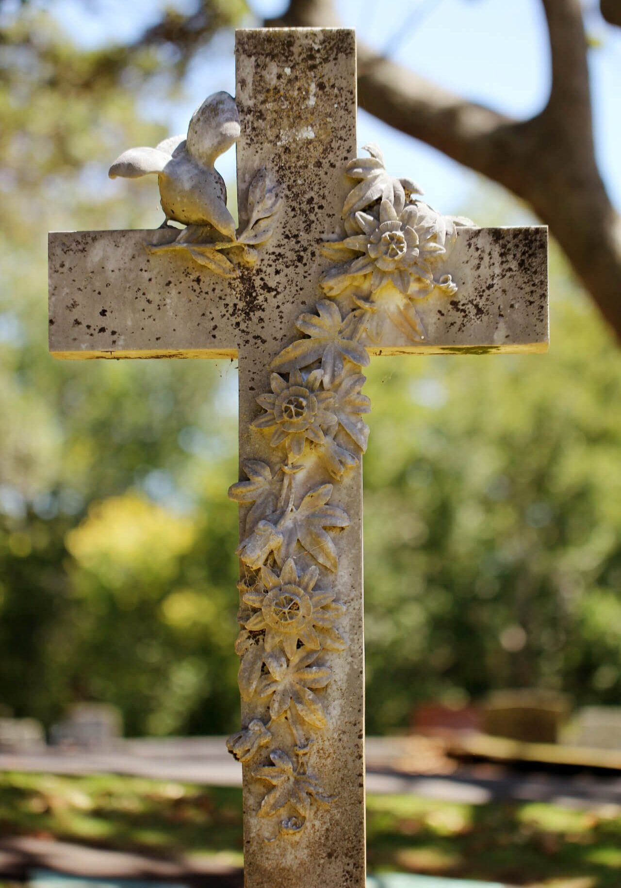 sandy-millar-1wWPziI0bOw-unsplash